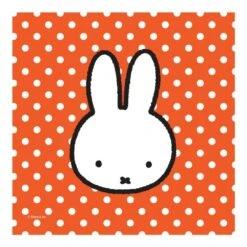 Nijntje Servetjes (20 Stuks) Voor Een Verjaardagsfeestje