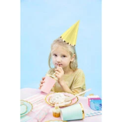 Partydeco Feesthoedjes Pastel | Feestelijke Hoedjes Voor Een Feestje -Hieppp Versiering Winkel partydeco feesthoedjes pastel 6 stuks hoedjes 1